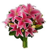 Valentine's Day Flowers to Bengaluru :  Pink Lily to Bengaluru