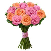 Buy Diwali Flowers in Bangalore. Peach Pink Rose Bouquet 12 Flowers in Bangalore