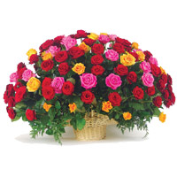 Rakhi Flowers of Mixed Roses Basket 100 Flowers in Bangalore