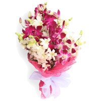 Order Online Purple White Orchid Bunch 20 Flowers in Bangalore on Friendship Day