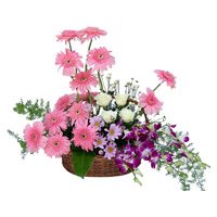 Orchids Roses Flower Delivery in Bangalore