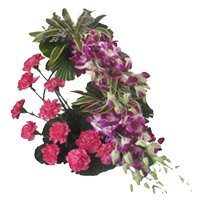 6 Orchids 12 Pink Carnation Arrangement of luxurious Rakhi Flowers Delivered in Bangalore