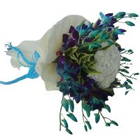 Online Delivery of 6 Blue Orchid 12 White Carnation Flower Bouquet in Bangalore