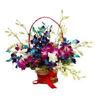 Send Online Mixed Orchid Basket with 9 Stem of Rakhi Flowers to Bangalore