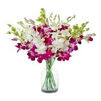 Deliver Online Purple White Orchid in Vase 10 Flowers in Bengaluru on Friendship Day
