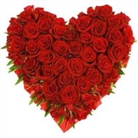 Valentine's Day Flowers Delivery in Bangalore Sarjapur Road