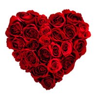 Valentine's Day Flowers to Bangalore -  Valentine's Day FLowers