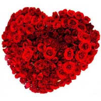 Red Rose Delivery in Bangalore
