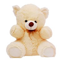 Get Well Soon Gifts to Bangalore