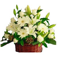 Rakhi Flower Delivery. White Lily Roses Gerbera Basket 20 Flowers in Bangalore