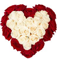 Send Red White Roses Heart 50 Flowers to Bangalore