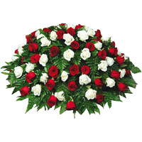 Send Christmas Roses to Bengaluru